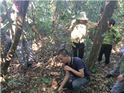 Bảo tồn đa dạng sinh học xuyên biên giới: Không chỉ là mối lo tuyệt chủng loài nguy cấp